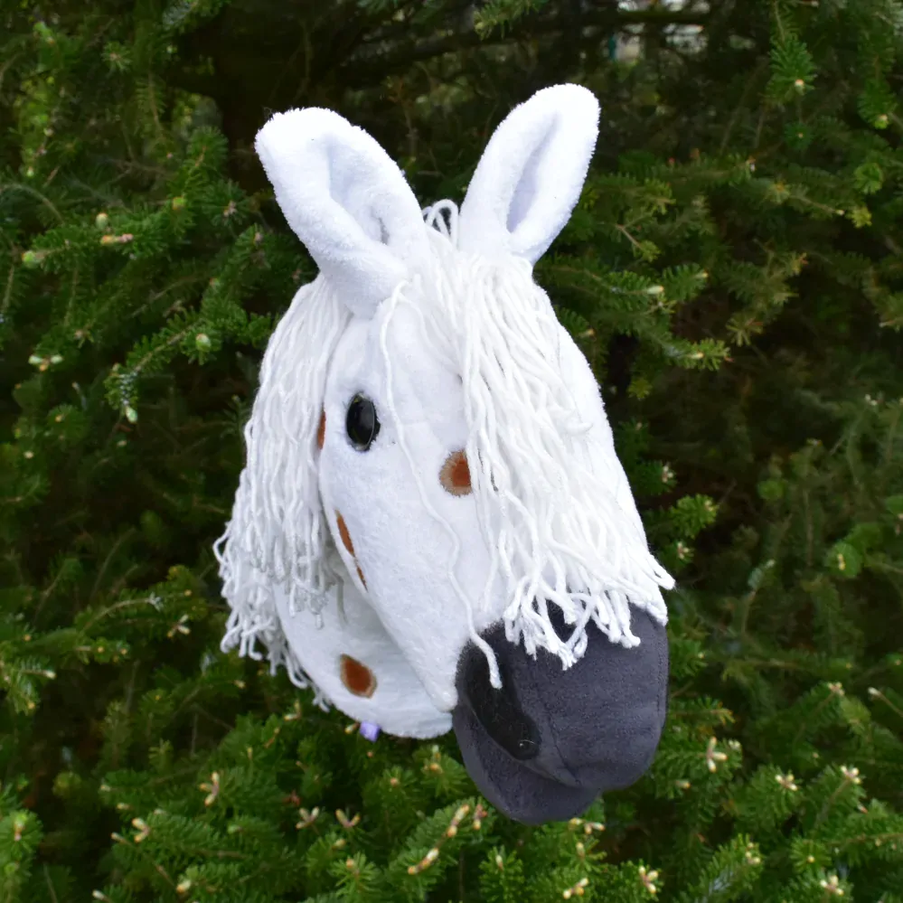 Hobby horse