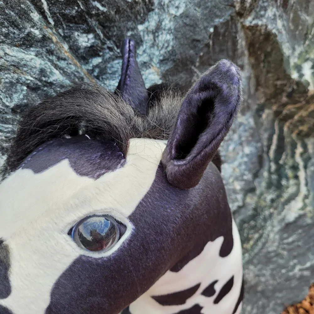 Hobby horse
